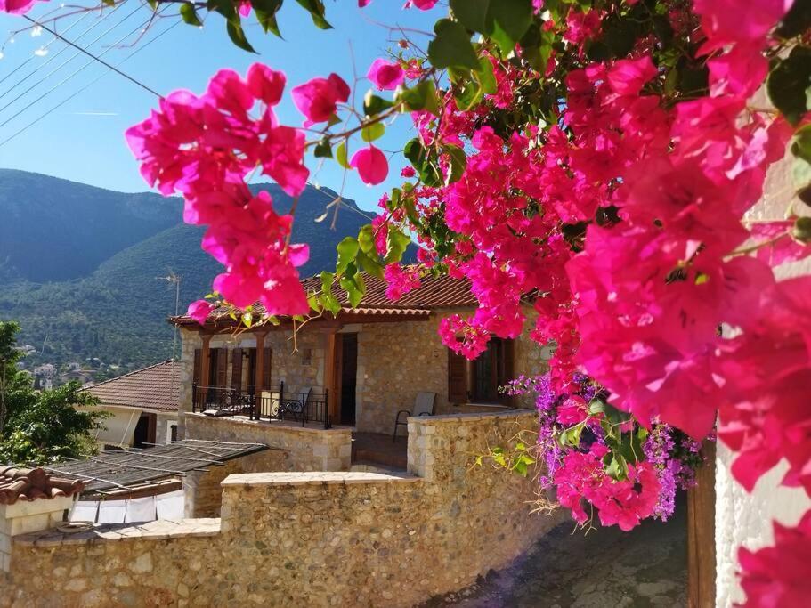 Tsolakis Luxury House Villa Leonídion Buitenkant foto